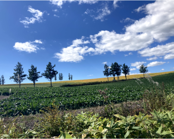 富良野